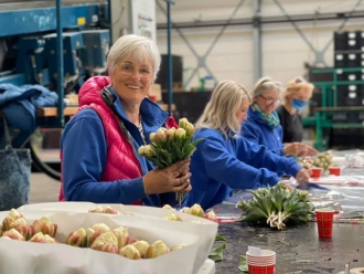 Groeistuipen bedrijf