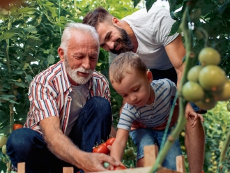 levensritme familiebedrijf