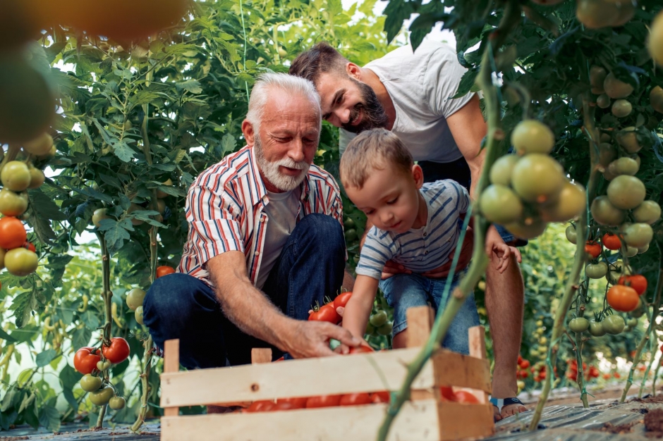 koers houden in familiebedrijven