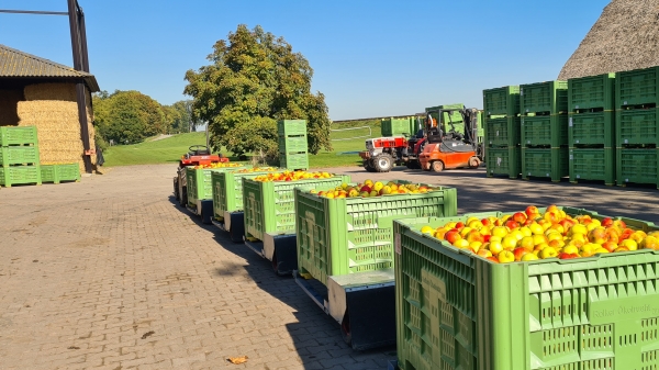 Blok 4. bedrijfskundige processen