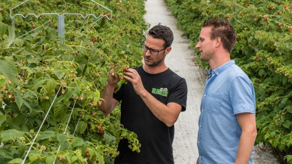 nijswin en gerco verzuilen