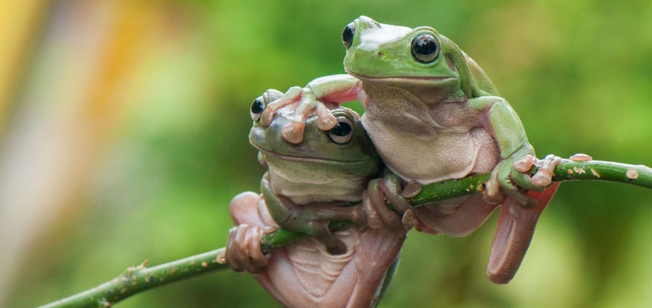 movaeres professionals aansturen