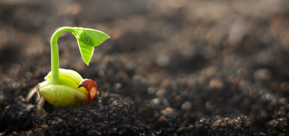 team ontwikkeling van mens en organisatie visie